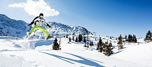 location-appartement-ski